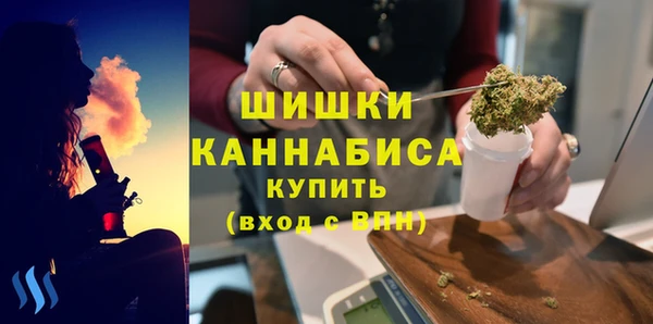 бошки Пестово