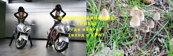 бошки Пестово
