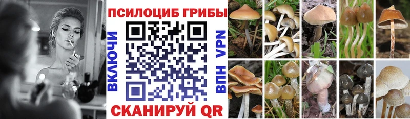 Галлюциногенные грибы Cubensis  Чухлома 